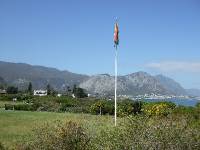 Hermanus (15)